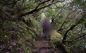 Monte Verde
